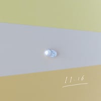 11月16日【365日金魚真珠】