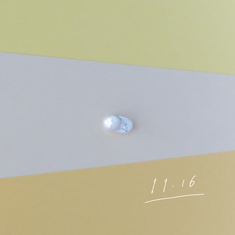 11月16日【365日金魚真珠】