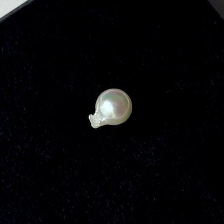【K18】百花#886 金魚真珠ピアス