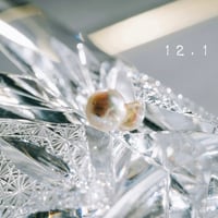 12月1日【365日金魚真珠】