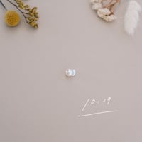 10月29日【365日金魚真珠】