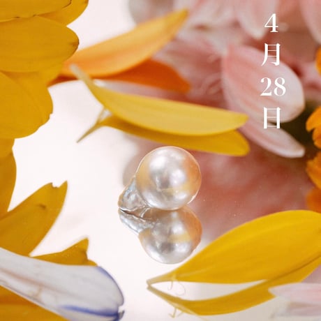 4月28日【365日金魚真珠】