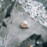 12月26日【365日金魚真珠】
