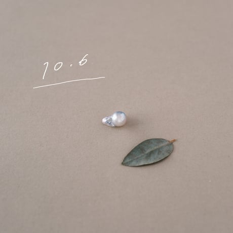 10月6日【365日金魚真珠】