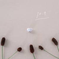 10月9日【365日金魚真珠】