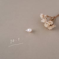 10月1日【365日金魚真珠】