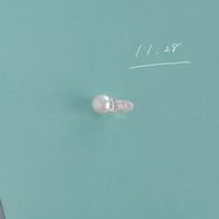 11月28日【365日金魚真珠】