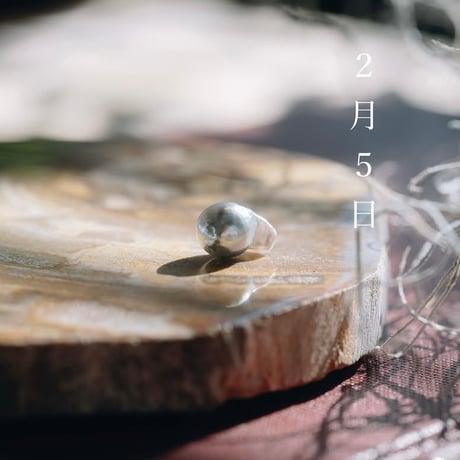 2月5日【365日金魚真珠】