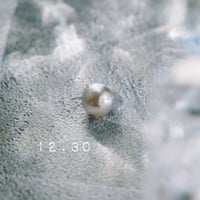 12月30日【365日金魚真珠】
