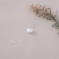 10月13日【365日金魚真珠】