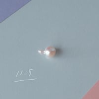 11月5日【365日金魚真珠】