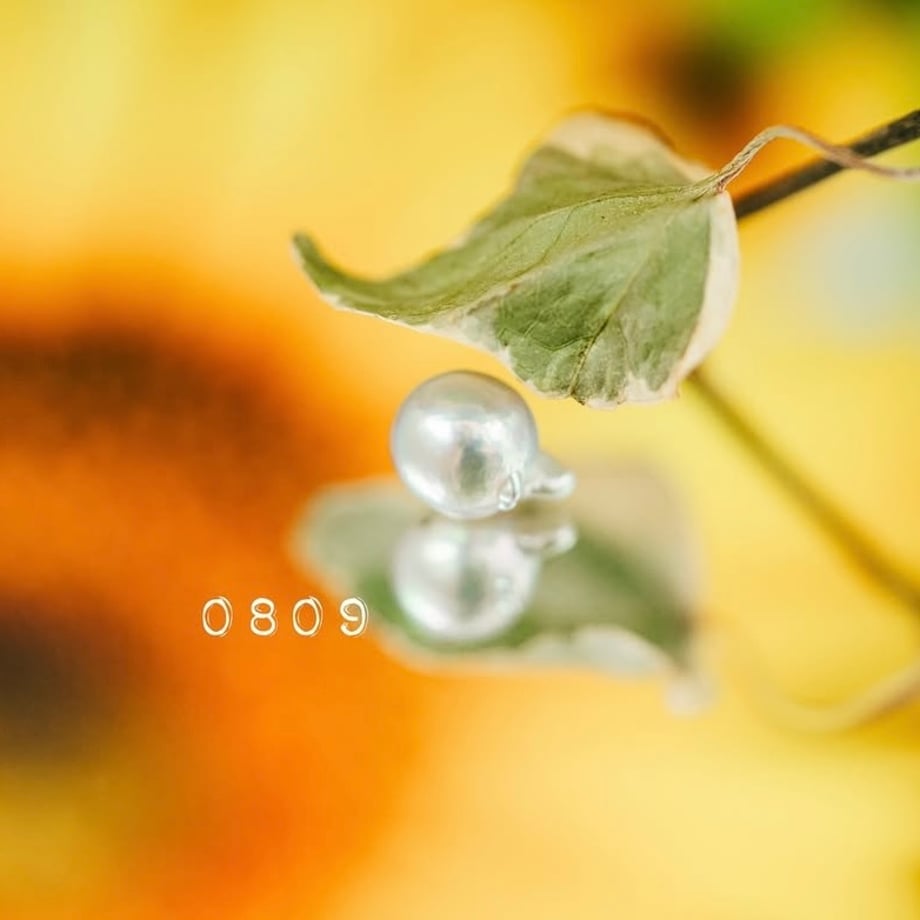6850c944818613323233655b