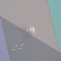 11月29日【365日金魚真珠】