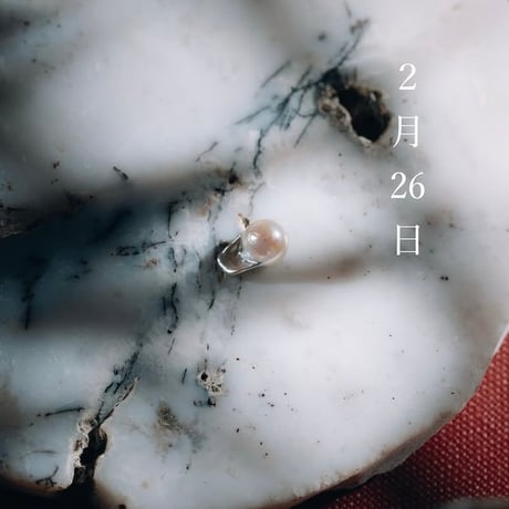 2月26日【365日金魚真珠】