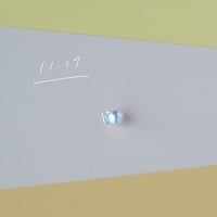 11月17日【365日金魚真珠】