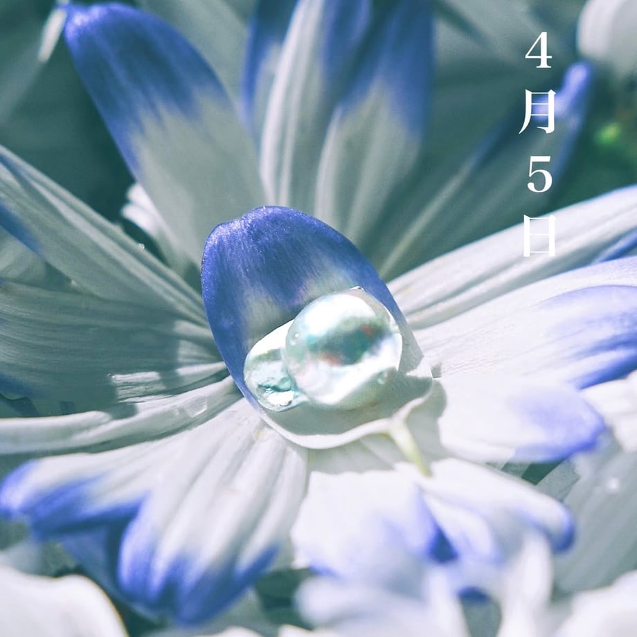 68513f97ef91a71e6824de13