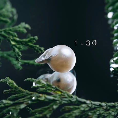 1月30日【365日金魚真珠】
