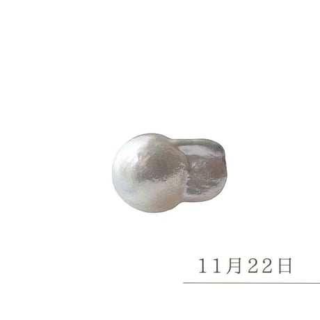 11月22日【366日金魚真珠】