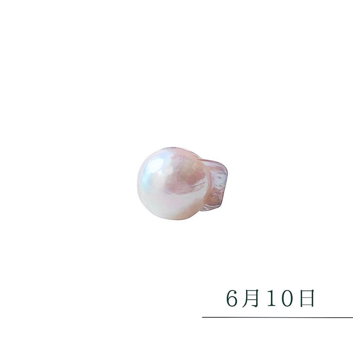 6月10日【366日金魚真珠】 | SEVEN THREE. 6月10日【366日金魚真珠】 | SEVEN THREE.