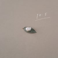 10月5日【365日金魚真珠】