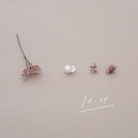 10月24日【365日金魚真珠】
