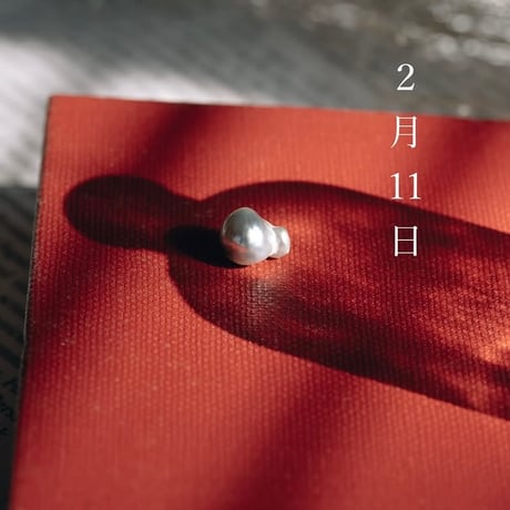2月11日【365日金魚真珠】