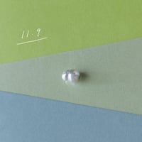 11月9日【365日金魚真珠】