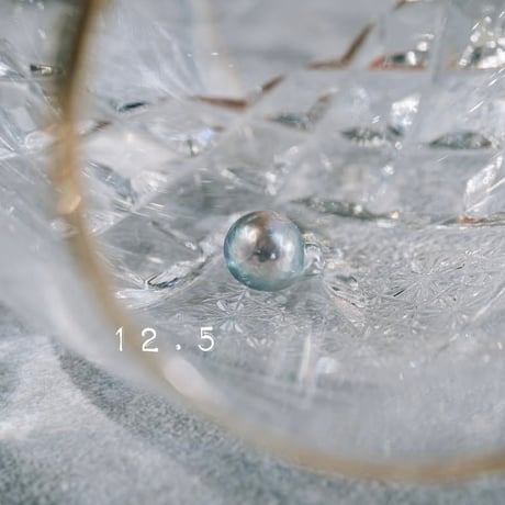 12月5日【365日金魚真珠】