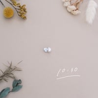 10月30日【365日金魚真珠】
