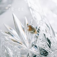 12月22日【365日金魚真珠】