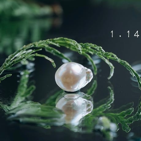 1月14日【365日金魚真珠】