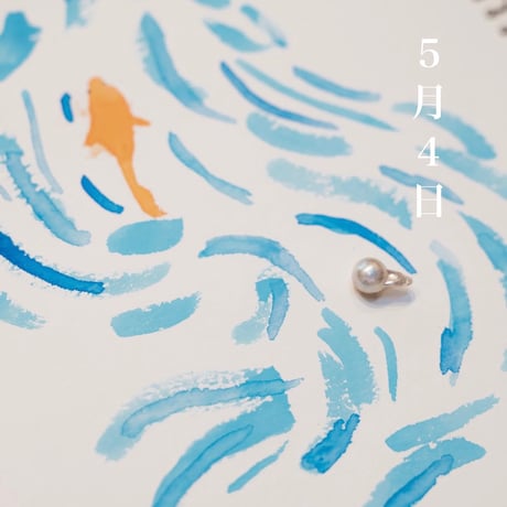5月4日【365日金魚真珠】