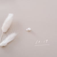 10月19日【365日金魚真珠】