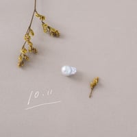10月11日【365日金魚真珠】