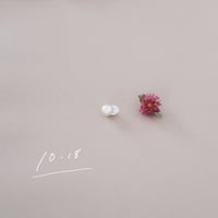 10月18日【365日金魚真珠】