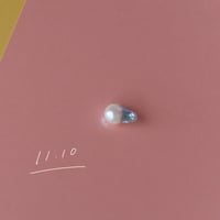 11月10日【365日金魚真珠】