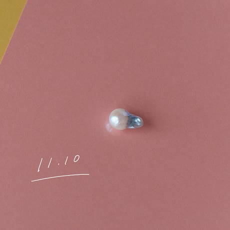 11月10日【365日金魚真珠】