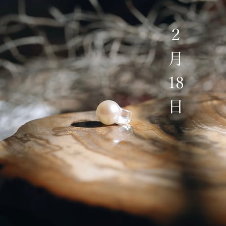 2月18日【365日金魚真珠】