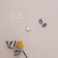 10月27日【365日金魚真珠】