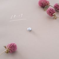 10月17日【365日金魚真珠】