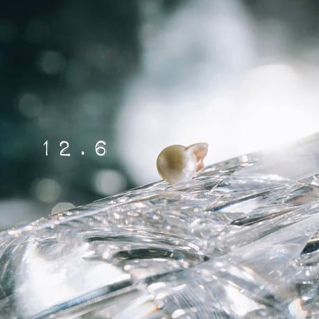 12月6日【365日金魚真珠】