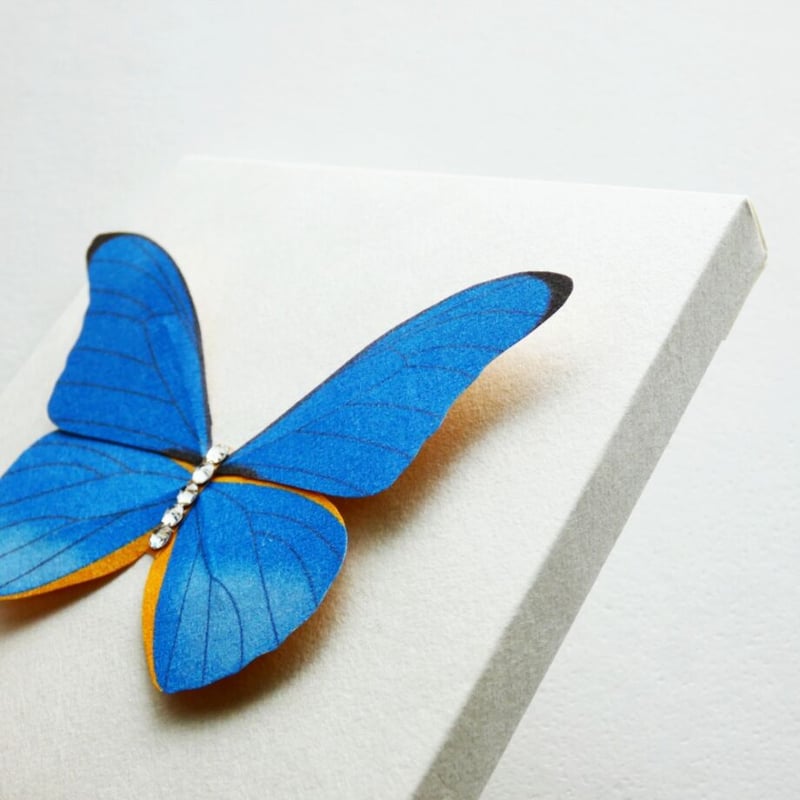 ミニチュア着物　蝶々　ゴマページ 和紙アートミニパネル／ちっちゃな蝶々・レテノールモルフォ