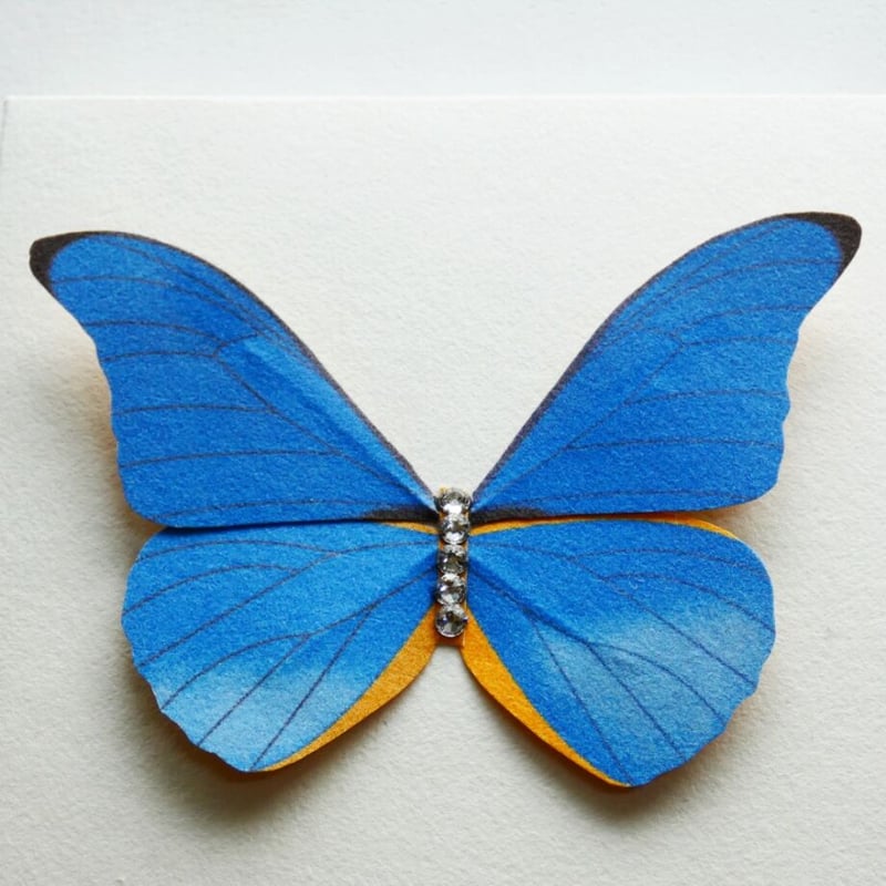 「ちょうちょ」原画 蝶々の標本のようなリアルな糸刺繍 | Chitchat Lemmikko Blog