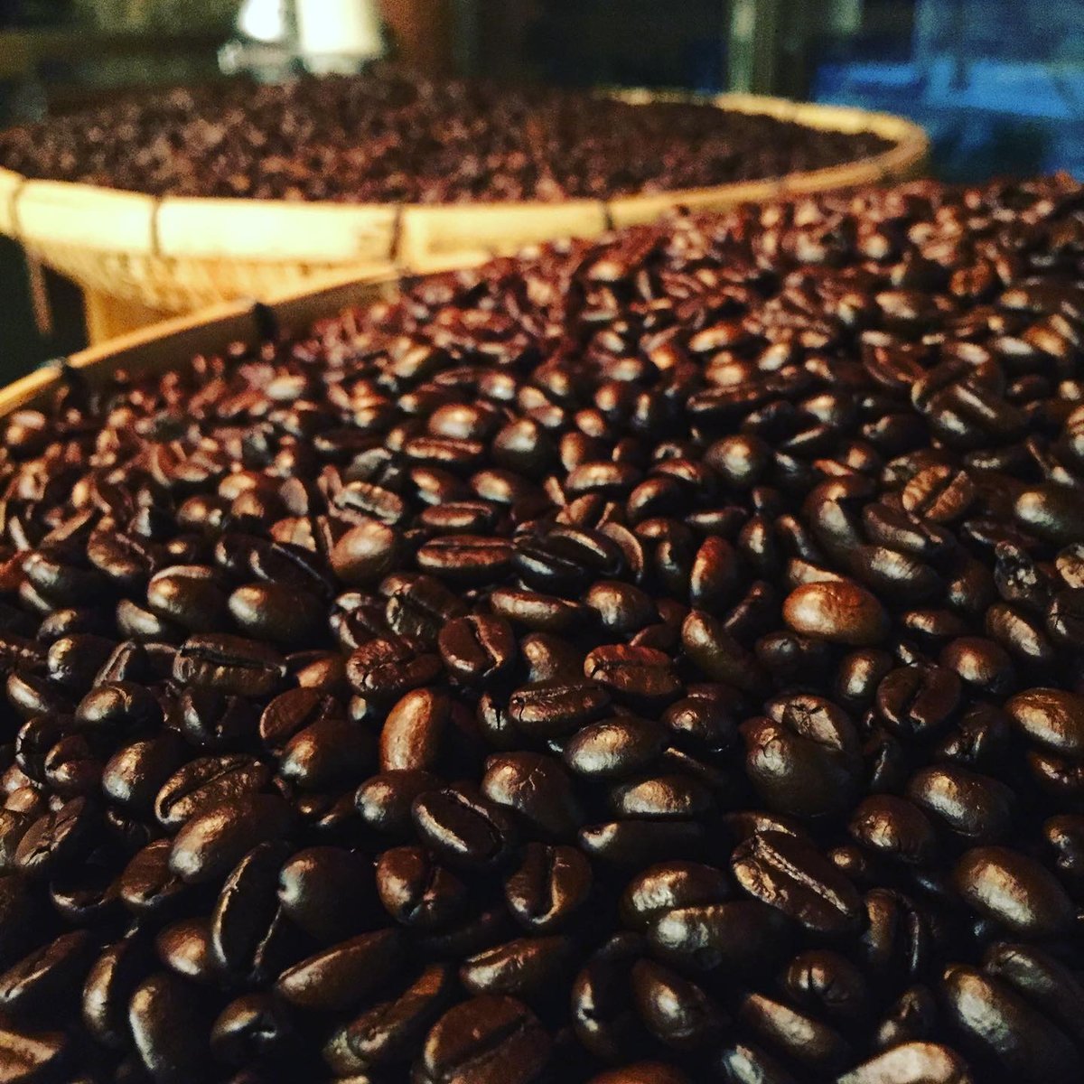 エチオピア イルガチャフェ ウォッシュド 無農薬栽培 | zerocoffee