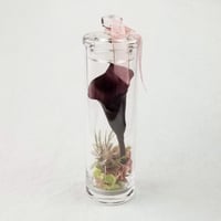 クリアリー【瓶入りアーティフィシャルフラワー】/ カラー