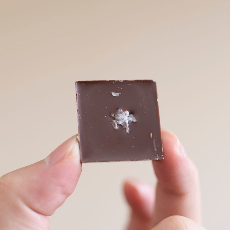 しおちょこ ×36箱入 | DENEN SHOP（デンエンショップ）公式｜奥能登の塩 