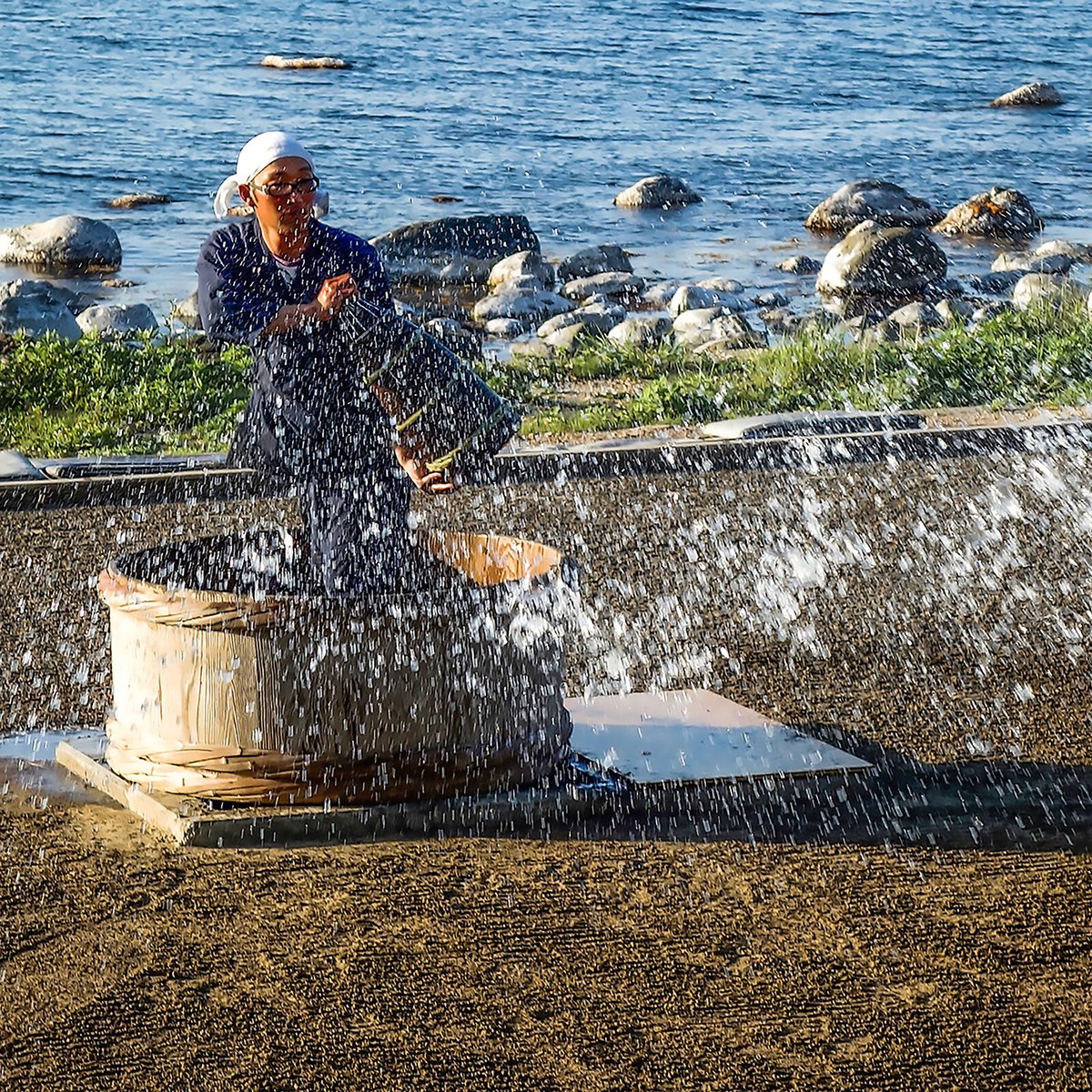 PET】奥能登地サイダー しおサイダー 24本入 | DENEN SHOP（デンエン