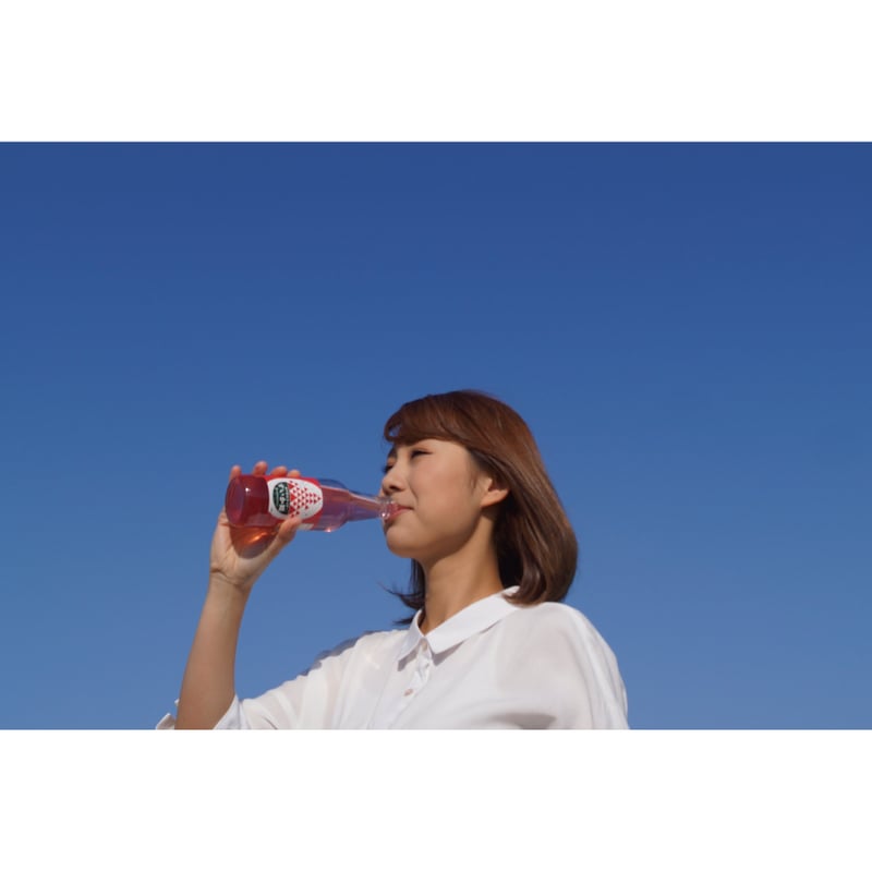 金沢砂丘サイダー すいか姫 | DENEN SHOP(デンエンショップ 金沢砂丘サイダー すいか姫 | DENEN SHOP(デンエンショップ