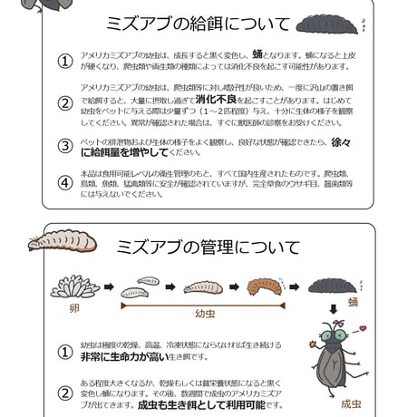 活ミズアブSSサイズ（50mg以下）2g程度