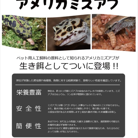 活ミズアブSSサイズ（50mg以下）2g程度
